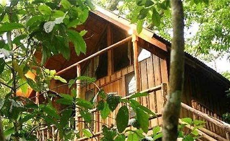 Bayrams Tree Houses Olympos Ngoại thất bức ảnh
