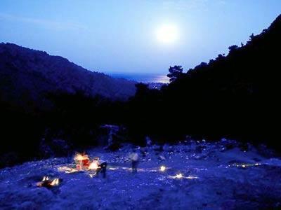 Bayrams Tree Houses Olympos Ngoại thất bức ảnh