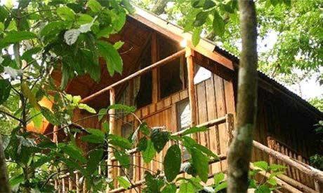 Bayrams Tree Houses Olympos Ngoại thất bức ảnh