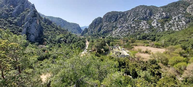 Bayrams Tree Houses Olympos Ngoại thất bức ảnh