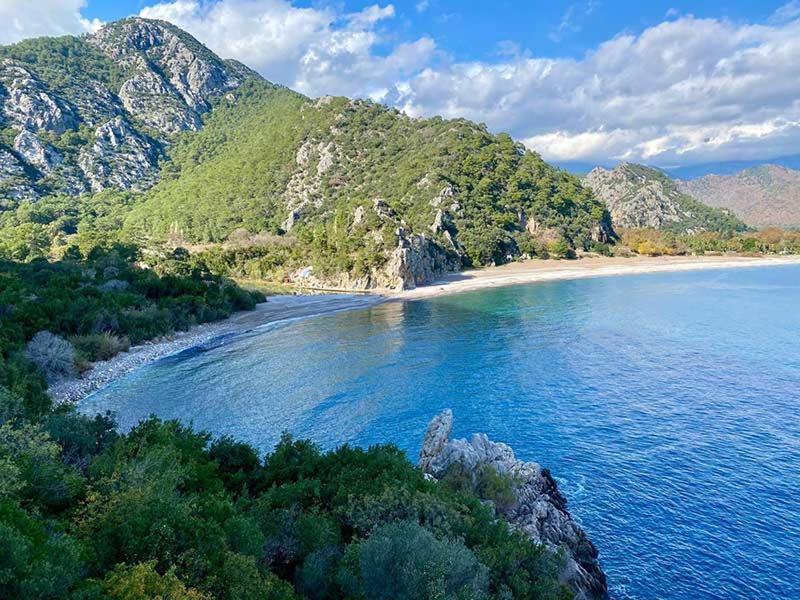 Bayrams Tree Houses Olympos Ngoại thất bức ảnh
