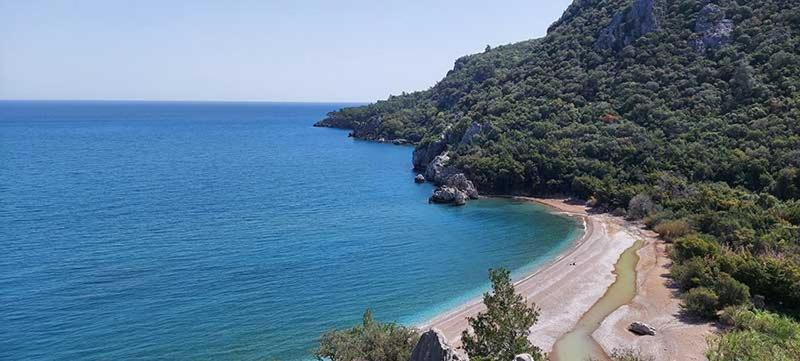 Bayrams Tree Houses Olympos Ngoại thất bức ảnh